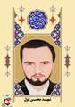 زندگی نامه شهید محسن کول  
